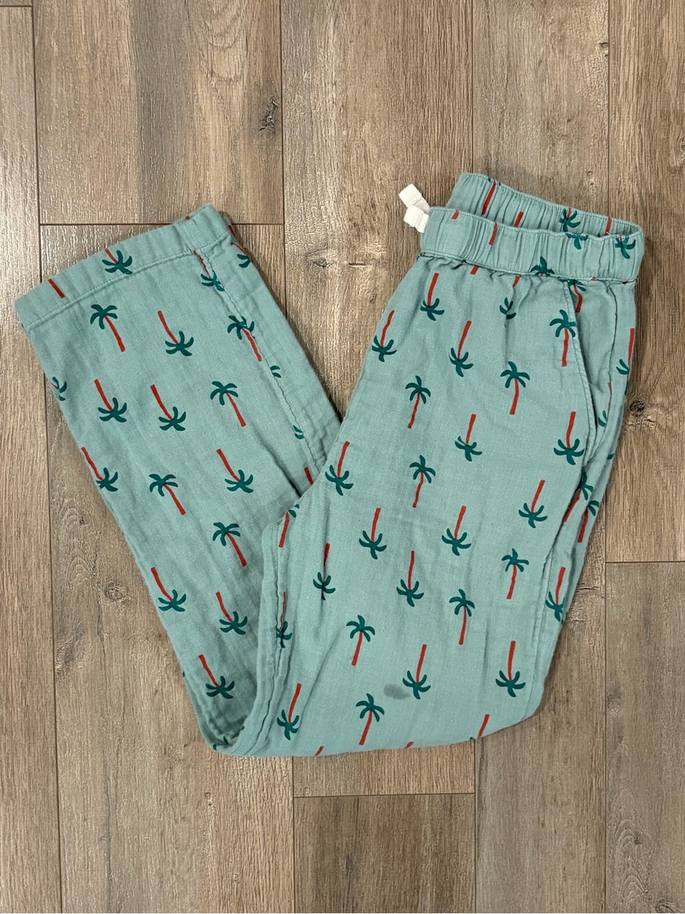 Hanna Andersson Teal Palm Tree Jogger Pants